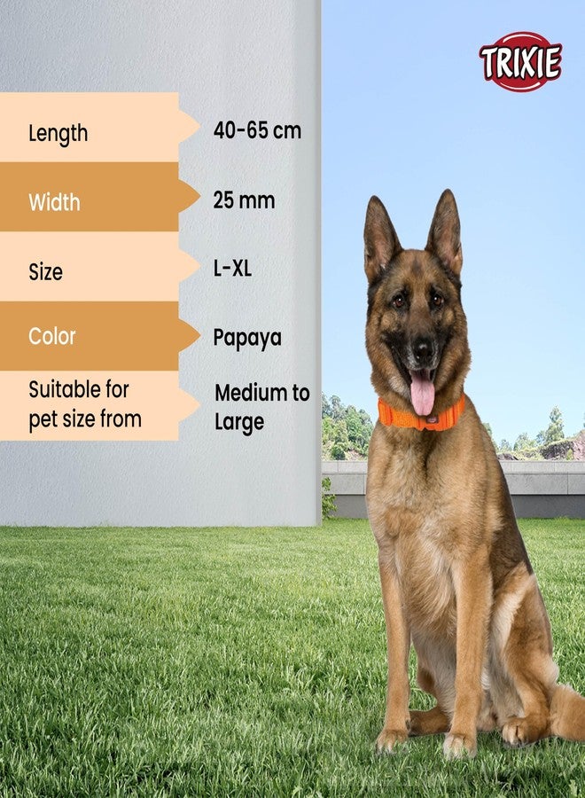 TRIXIE Nylon Premium Dog Collar Neck Belt, Stylish Design, Adjustable Webbing Tape, Strain Relief, With Leash Connector (L-Xl, Papaya),14 cm,W_3 cm - Image 5